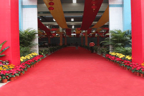 red carpet party decorations graduation